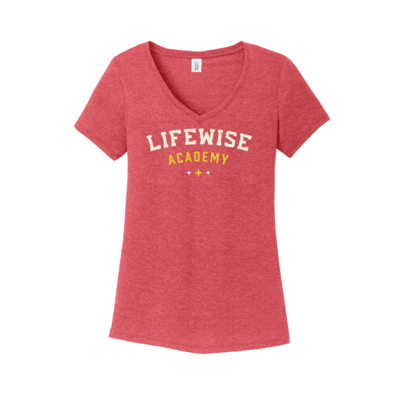 District Made Ladies Perfect Tri V-Neck Tee
