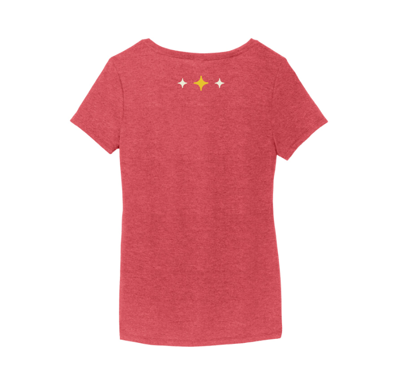 District Made Ladies Perfect Tri V-Neck Tee