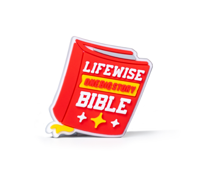 LifeWise Croc Jibbitz