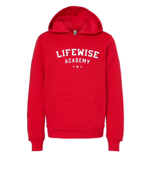 Youth Sponge Fleece Pullover Hoodie