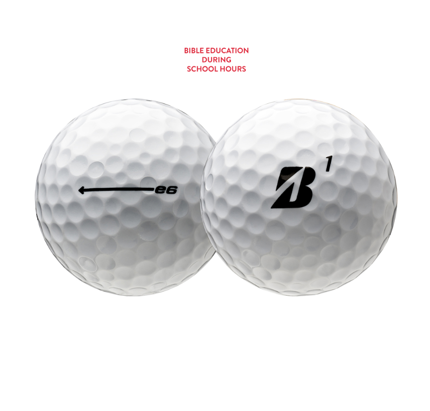 Bridgestone e6 Golf Balls