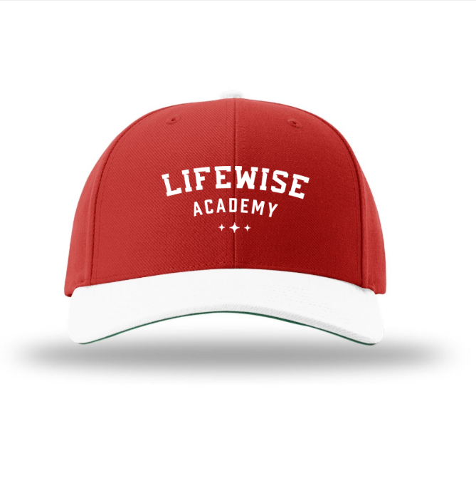 Surge Snapback